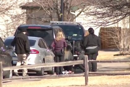 11-year-old accused of premeditated murder in brothers death cant be tried as adult, former DA says