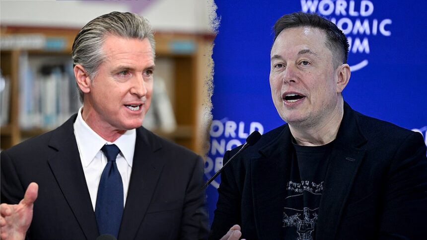 Gavin Newsom bashes Elon Musk as one of the great disappointments'
