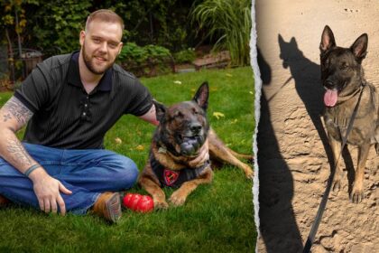 I served with my dog Dasty in Afghanistan. Dogs are mans best friend on the battlefield