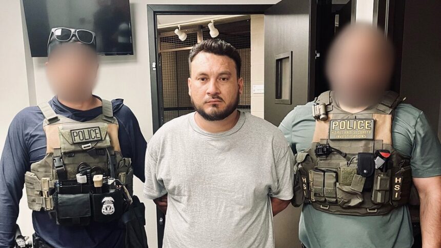 Illegal's dragging of ICE agent shows the exact danger the officer who shot Renee Good feared, expert says