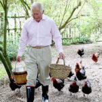 King Charles' chicken coop at Highgrove has a name that will make you do a double take