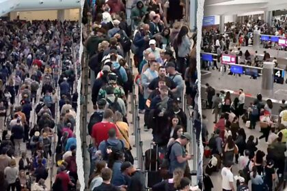 LIZ PEEK: Voters tell Congress 'do your job' and end the DHS showdown