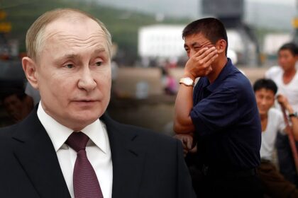 North Korean laborers describe brutal forced labor in Russia: 'Working like a cow, earning nothing'