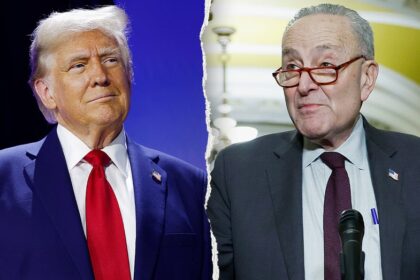 Trump mocks 'discombobulated' Schumer over Democrats' near gaffe on funding ICE