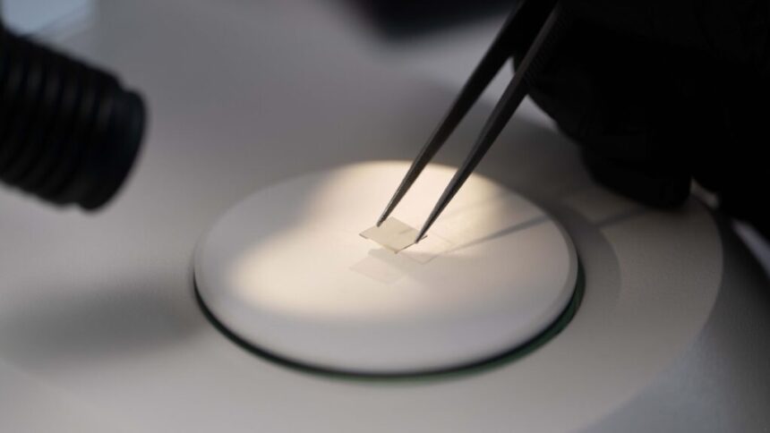 Vera Clinic and Appsilon Unveil Vector 10: The World’s First CVD Lab-Grown Diamond-Tipped Blade Engineered for Hair Transplant Surgery