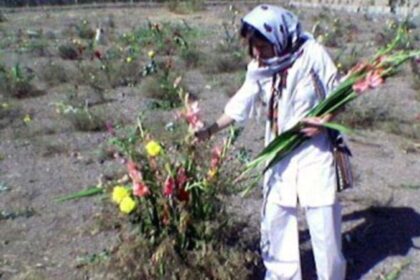 VOA Persian: Private commemoration held for political prisoners executed in 1980s