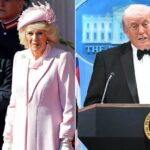King Charles, Queen Camilla to move ahead with US trip after White House Correspondents' Dinner shooting