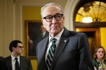 LIZ PEEK: Warring Democrats will need more than Trump hatred to win in 2028