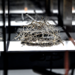 New book on archaeological evidence for Jesus rockets to top of bestseller list