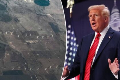 NEWT GINGRICH: What Trump can teach us about energy and Americas future
