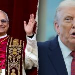 Pope Leo says he's unafraid of the Trump admin after president calls him 'terrible' on foreign policy