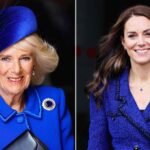 Queen Camilla and Kate Middletons royal battle over blue sparked palace tension: expert