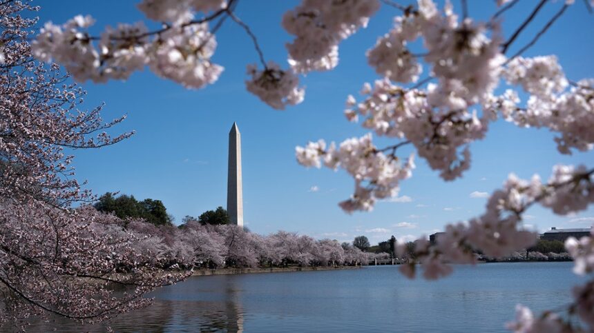 Trumps DC beautification push wins rare Dem praise as president snaps landmarks back to life