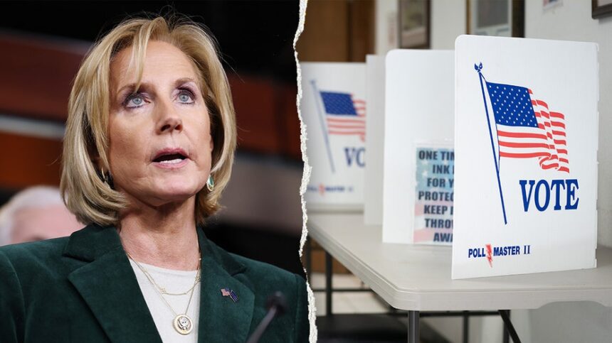 Watchdog, GOP lawmaker warn NY voter registration systems lacks key safeguards
