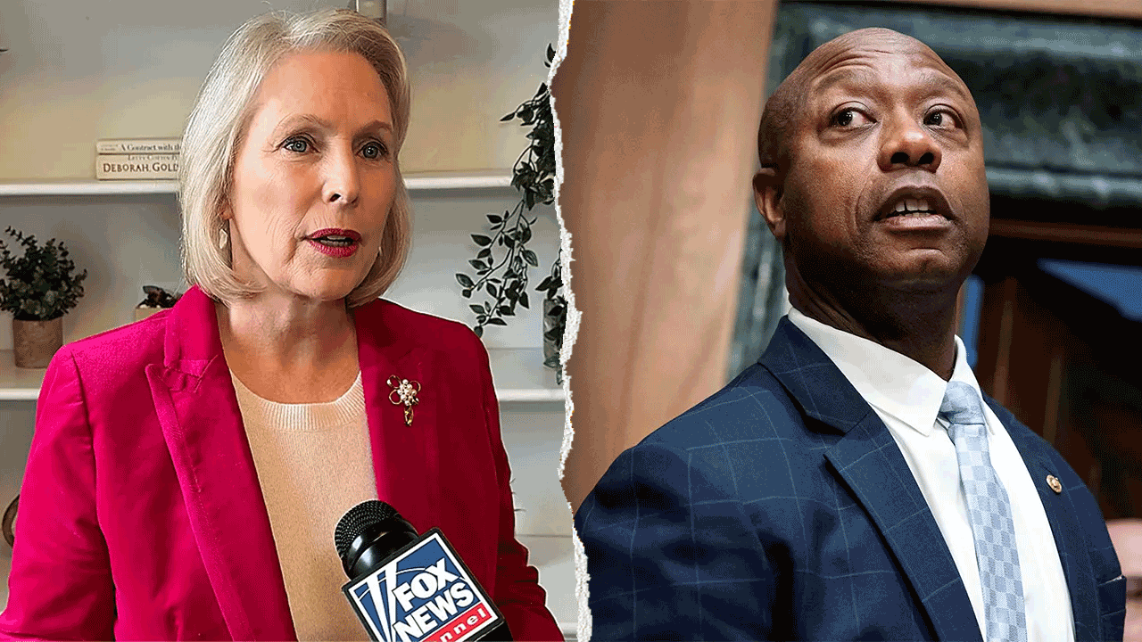 6 months to midterms: The Senate seats that could tip the balance of power