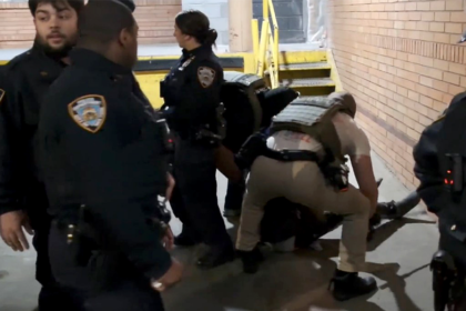 Anti-ICE demonstrators detained after protesting arrest of illegal immigrant facing assault, drug charges