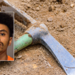 California man sentenced to prison for using pickaxe to kill teen brother with cerebral palsy