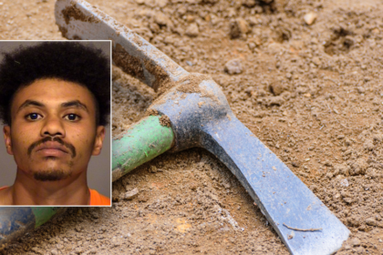 California man sentenced to prison for using pickaxe to kill teen brother with cerebral palsy