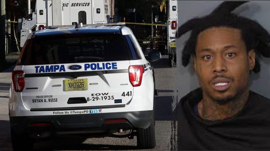Florida deputies solve cold case murder after new DNA evidence and witnesses emerge, police say