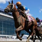 Horse dies after crossing the finish line in his first career race in tragic start to Preakness weekend