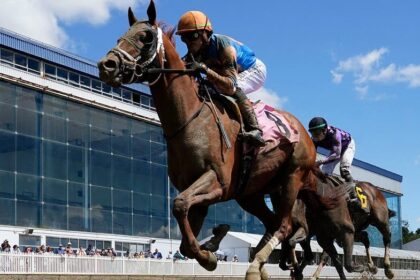 Horse dies after crossing the finish line in his first career race in tragic start to Preakness weekend