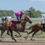 Preakness Stakes 2026: What to know about the second leg of horse racing's Triple Crown