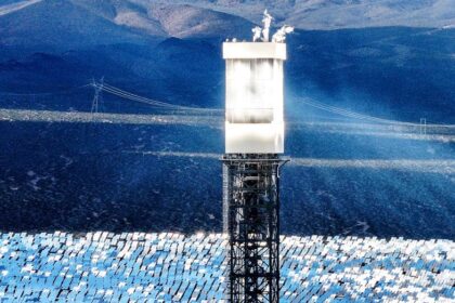 Regulators allow Obama-era solar plant to kill thousands of birds annually, investigation finds
