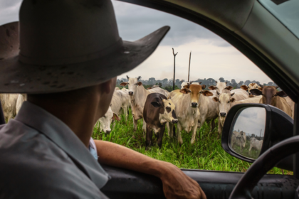 The unexpected force keeping beef prices high and why the pressure could last for years