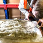 Traces of rare purple dye mentioned in Bible passages found in 'remarkable' discovery
