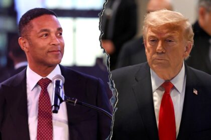 Ex-CNN anchor Don Lemon agrees Trump played liberal network 'like puppets'