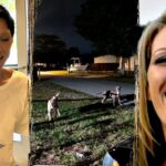 Florida woman mauled to death by dogs that had allegedly terrorized neighborhood, owner charged in killing
