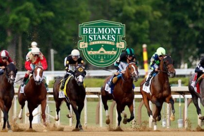 FOX Super 6 Belmont Stakes Contest: Chris 'The Bear' Fallica's Picks, Predictions