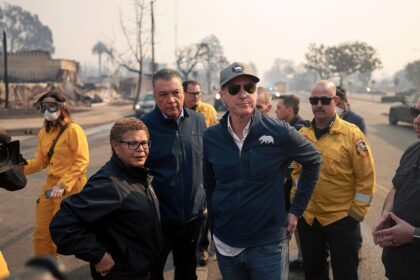JONATHAN TURLEY: California proves voters get the government they tolerate