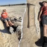 Kansas boy discovers 15-foot marine reptile fossil from 85 million years ago during geology field trip