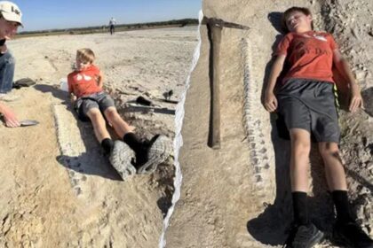 Kansas boy discovers 15-foot marine reptile fossil from 85 million years ago during geology field trip