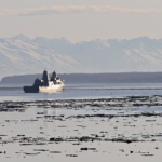Marine missing from USS Anchorage now focus of recovery mission off California coast