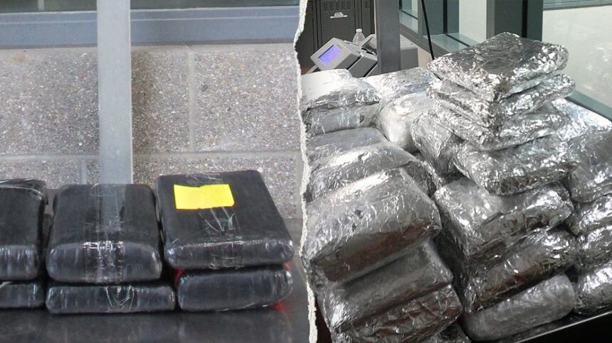 Massive Mexico-California border busts uncover eye-popping amount of drugs: 'Remain vigilant'