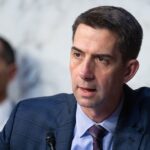 Sen Tom Cotton urges DOJ to probe Chinese bid to 'kneecap' American AI