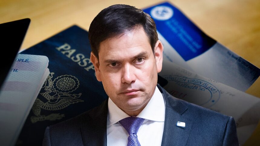 Trump admin puts alleged 'birth tourism' scheme on notice as expert delivers warning to hospitals