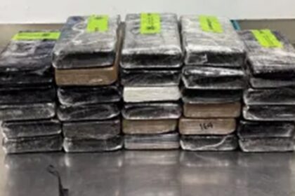Border agents uncover $3.7M in cocaine masquerading as a cucumber delivery