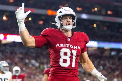Cardinals tight end Travis Vokolek retires at age 28 after suffering severe neck injury during 2025 season