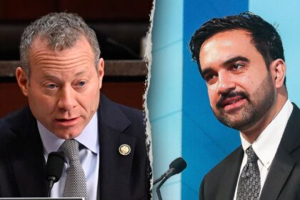 Democrat rejects Mamdani as member of party, accuses socialists of attempting to 'hijack' message