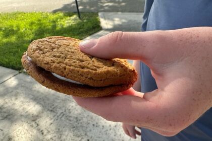 Depression-era Little Debbie snack that built a family-run bakery still has Americans hooked