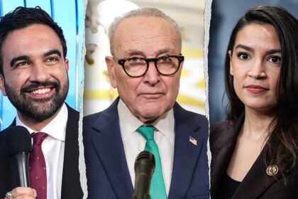 LIZ PEEK: Democrats affordability scam collapses in states they actually run