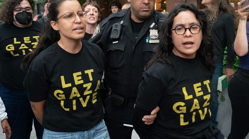 Socialist House hopeful under fire for pro-Palestinian July 4 message