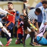 Zlatan Critiques Spain's Failure To Defend Teammates After Post-Final Brawl