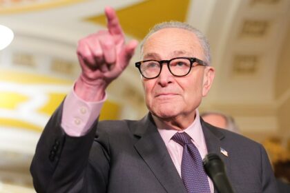 Schumer said Democrats support voter ID â then every Senate Democrat voted against GOP bill