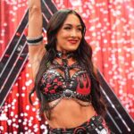 WWE star Brie Bella 'in a lot of pain' following injury at SummerSlam, sister says