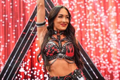 WWE star Brie Bella 'in a lot of pain' following injury at SummerSlam, sister says